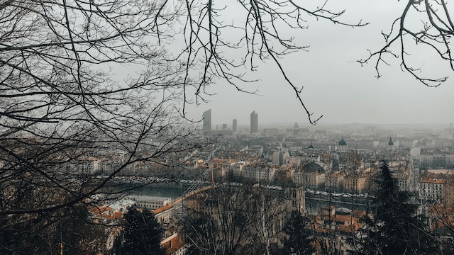 Comment choisir une agence immobilière parmi les agences immobilières de Lyon ?